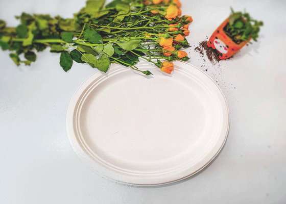 泰國工廠大量現貨供應：紙漿模塑餐具;小橢圓盤
